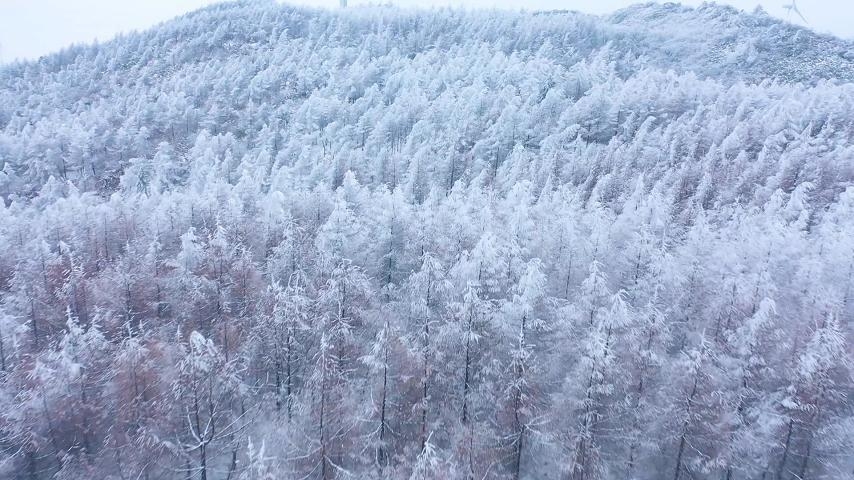 New Energy Vehicle Extreme Cold Test - Low Temperature Charging